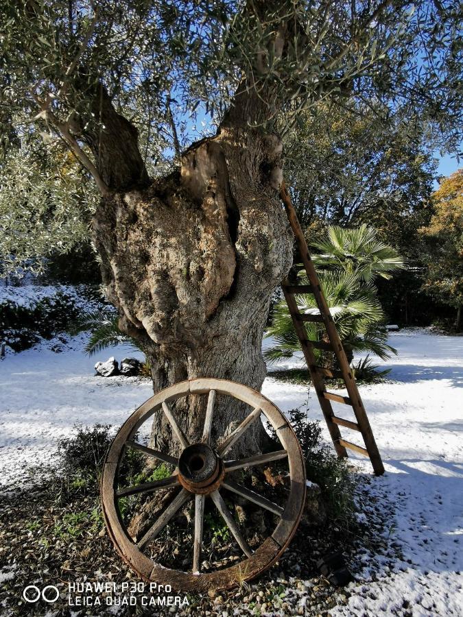 Antico Palmento Dell'Etna Pedara Exterior foto
